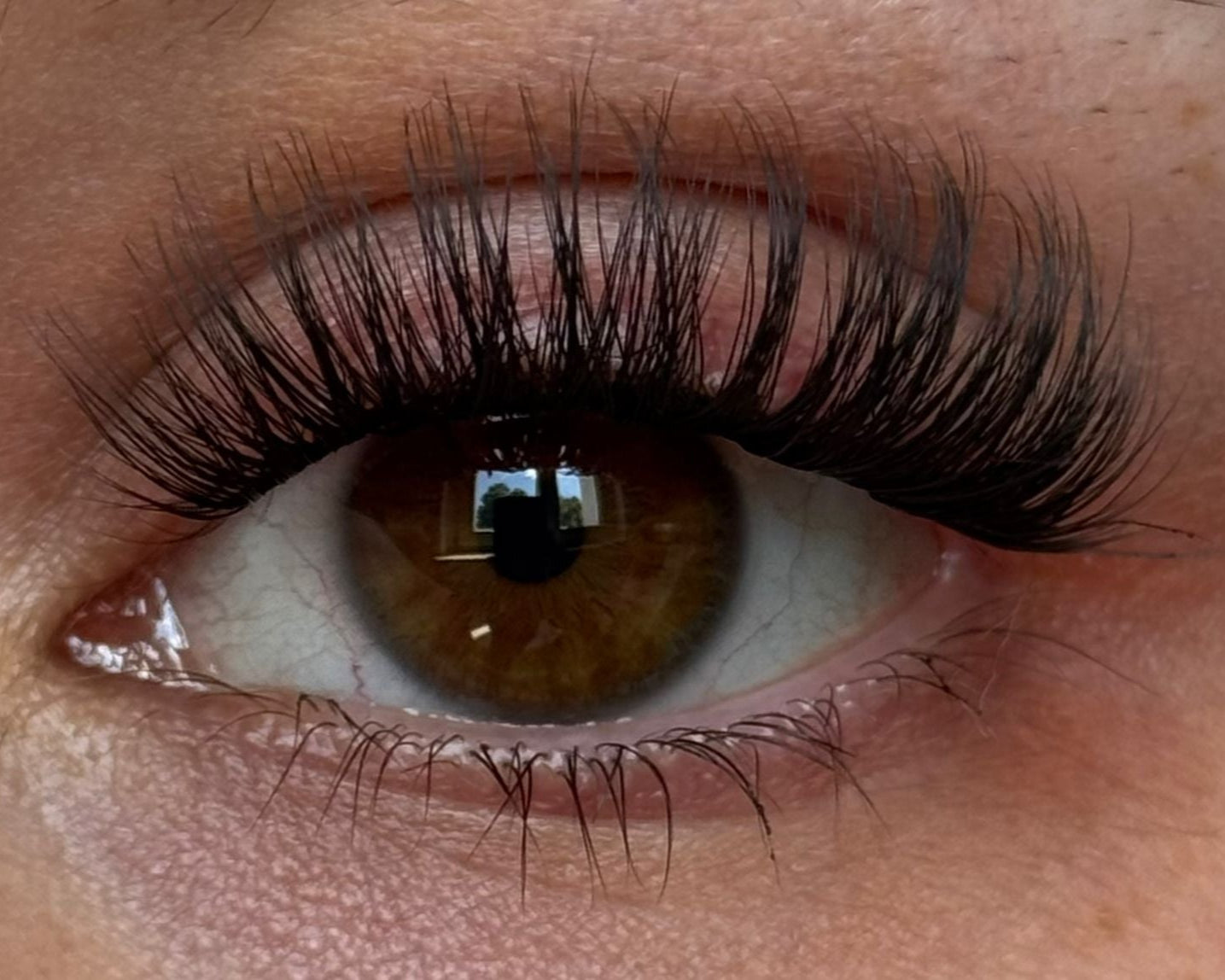 Endless Glashes - Glashes