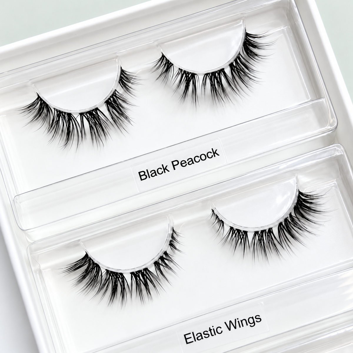 Catwalk Box – Nahaufnahme der offenen Mixbox mit Black Peacock und Elastic Wings