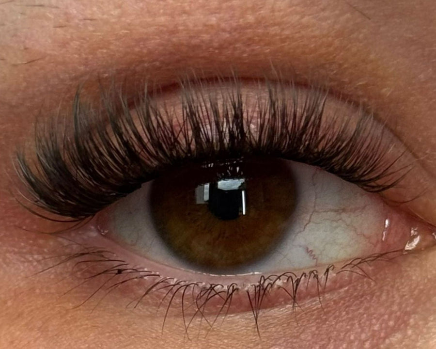 Glashes LashBloom Wimpernband — flexibles Band für DIY Wimpern