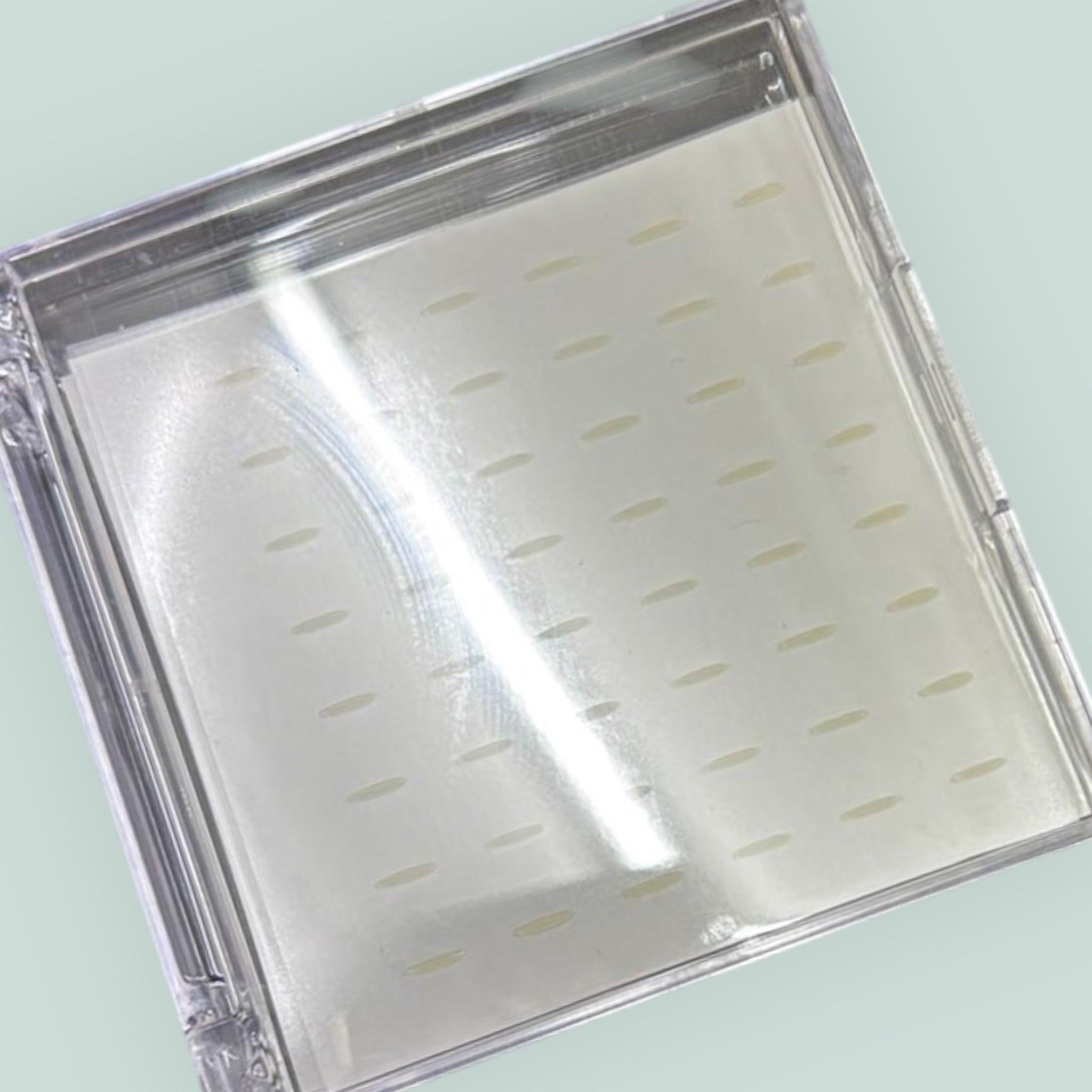 Pre Glued Streifen - Glashes