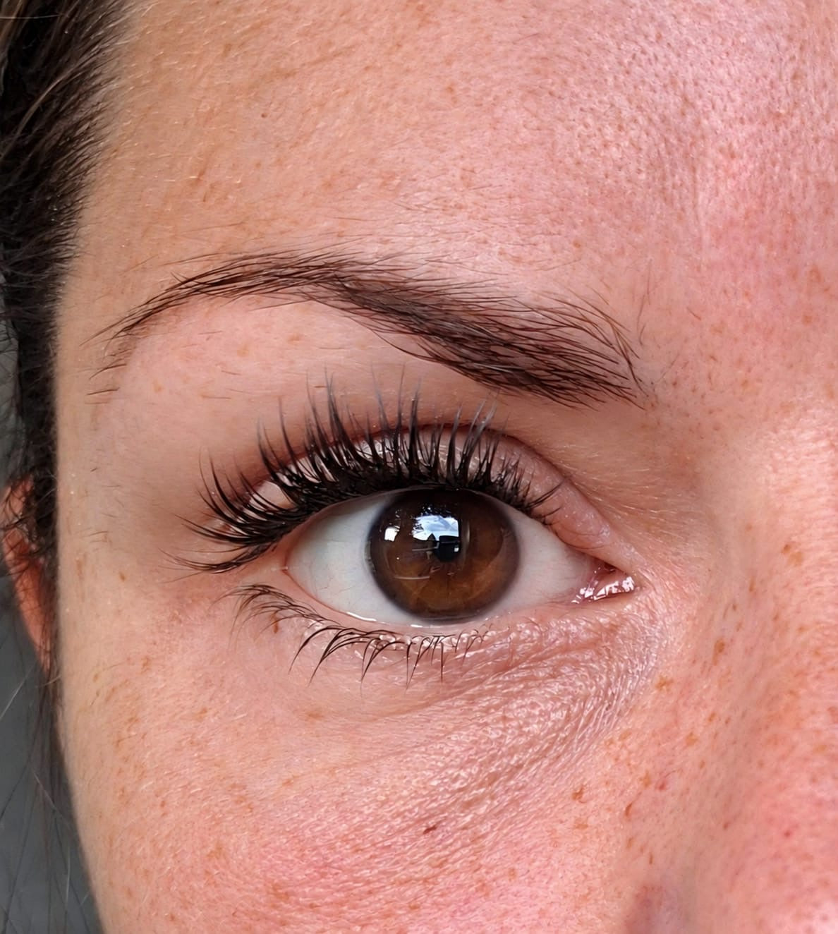 The Wild Eye Edition – Nahaufnahme eines Auges mit getragenen Wimpern