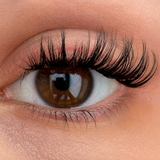 Kitty Kaboom DIY Wimpern am Auge — dramatischer Cateye Look mit CC-Curl