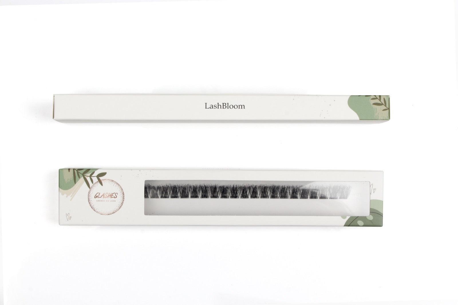 LashBloom Wimpernband - Glashes