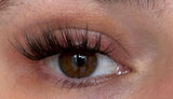 Silky_Bloom_auge - Glashes