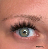 The Wild Eye Edition