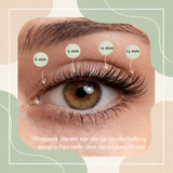 Starterset Luna Lash  (Cateye) 6-14mm CC- Curl - Glashes