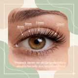 Whispy Lover (Cateye Look) 8-12mm CC-Curl - Glashes