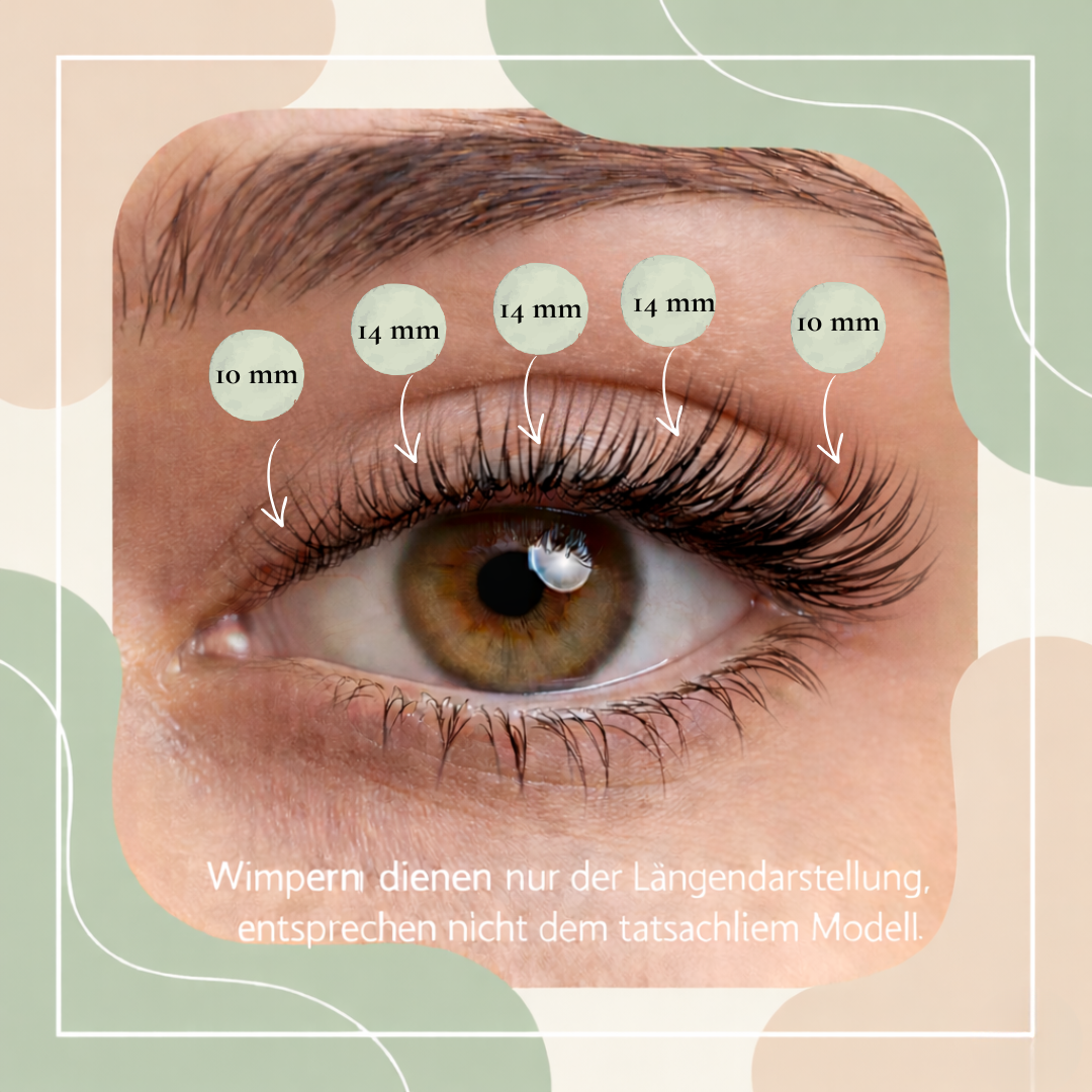 Glashes Holy Lash (10-14mm CC- Curl)