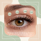 Starterset Angelic Eyes(Dolleye 12-14mm D- Curl ) - Glashes