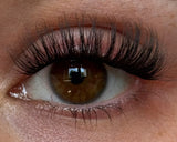 Endless Glashes DIY Wimpern Kennenlernset
