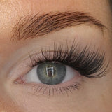 Angel Bloom DIY-Wimpern von Glashes – Tragebild am Auge