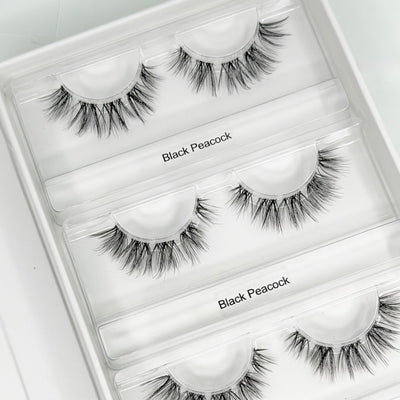 Black Peacock DIY-Wimpern von Glashes – Wimpern in der offenen Box, Nahaufnahme