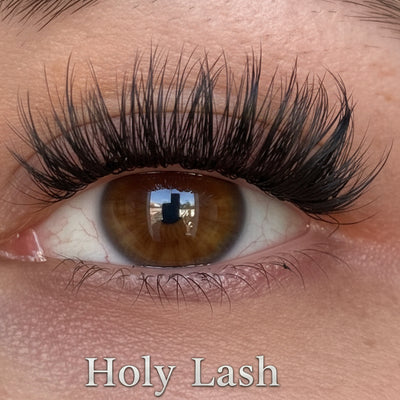 Holy Lash DIY Wimpern am Auge — Dolleye Look