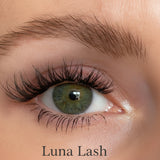 Luna Lash DIY-Wimpern von Glashes – Tragebild am Auge