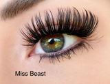 Miss Beast DIY-Wimpern von Glashes – Tragebild am Auge