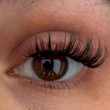 Kitty Kaboom (Cateye) 9-13mm CC-Curl - Glashes