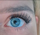 Elastic Wings Starterset Inhalt — DIY Wimpern + Zubehör