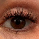 WhatTheLash DIY Wimpern am Auge — Dolleye Look